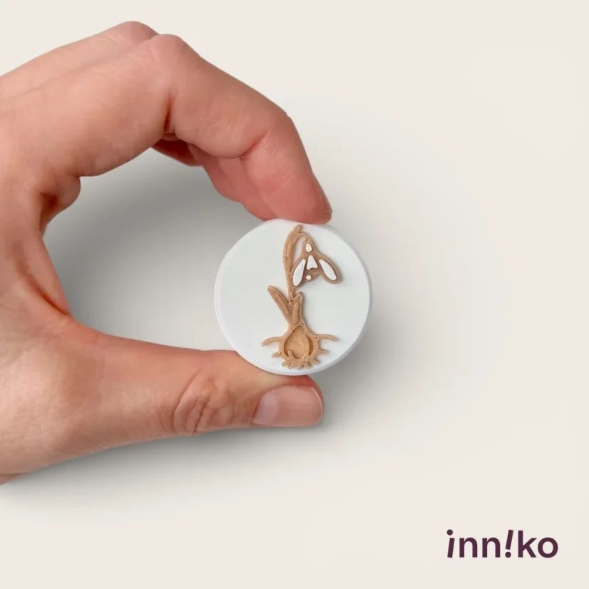 inniko® sada pečiatok | Životný cyklus snežienky
