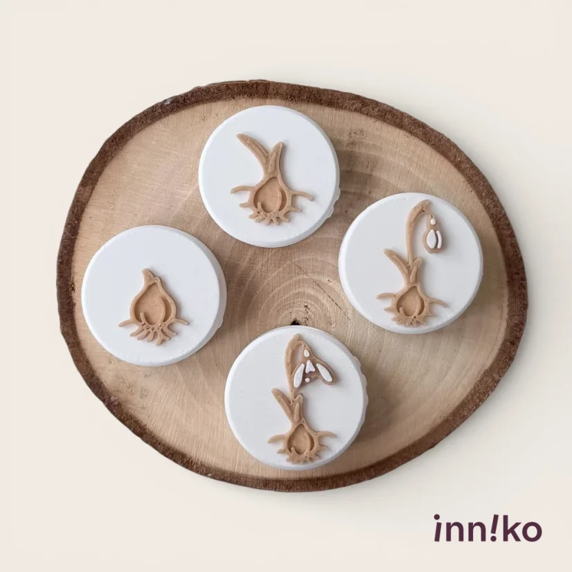 Sada tiskátek | Životní cyklus sněženky