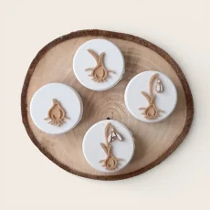 Sada tiskátek | Životní cyklus sněženky